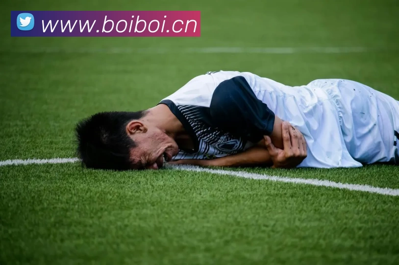 冰球突破官网 - 追求健康，你我一起成长平台生态图